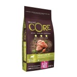 WELLNESS CORE HEALTHY WEIGHT 10 + 2KG ΔΩΡΟ WELLNESS CORE HEALTHY WEIGHT 10 + 2KG ΔΩΡΟ