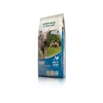 BEWI DOG JUNIOR 12.5KG