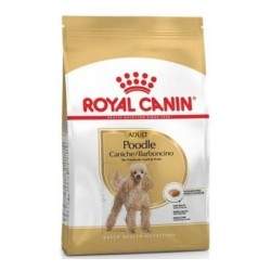 ROYAL CANIN POODLE ADULT 1,5KG
