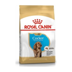 ROYAL CANIN COCKER PUPPY 3Kg ROYAL CANIN COCKER PUPPY 3Kg
