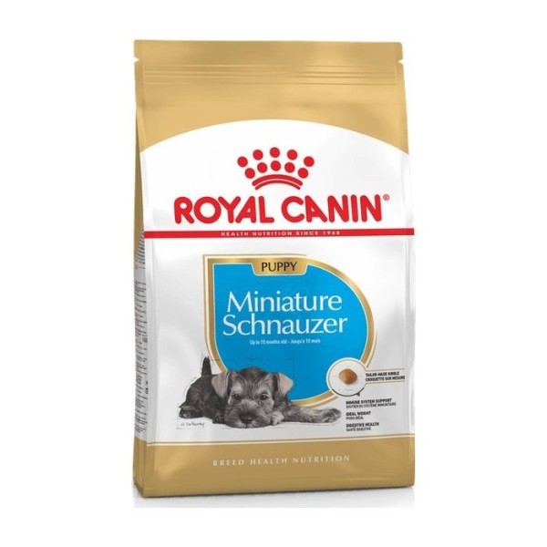 ROYAL MINIATURE SCHNAUZER PUPPY 1.5Kg ROYAL MINIATURE SCHNAUZER PUPPY 1.5Kg