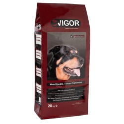 VIGOR ADULT DOG 20KG