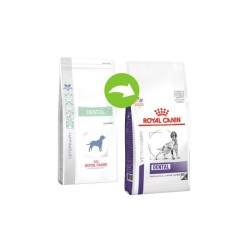 ROYAL CANIN DENTAL DOG 6KG ROYAL CANIN DENTAL DOG 6KG