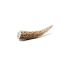 CHERVUS ELAPHUS FALLOW ΦΥΣΙΚΟ ΚΕΡΑΤΟ MINI 50-70gr