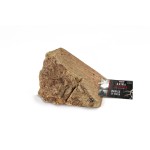 RECORD ΒΡΩΣΙΜH ΡΙΖΑ 150-300GR .. RECORD ΒΡΩΣΙΜH ΡΙΖΑ 150-300GR ..