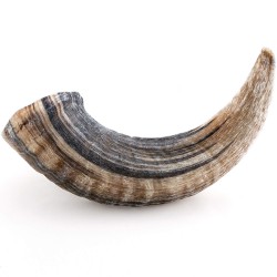 CHERVUS CORNUS BOVIS ΑΡΝΙ MAXI 251-500GR CHERVUS CORNUS BOVIS ΑΡΝΙ MAXI 251-500GR