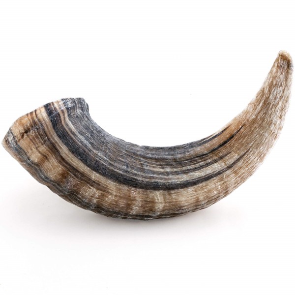 CHERVUS CORNUS BOVIS ΑΡΝΙ MAXI 251-500GR CHERVUS CORNUS BOVIS ΑΡΝΙ MAXI 251-500GR