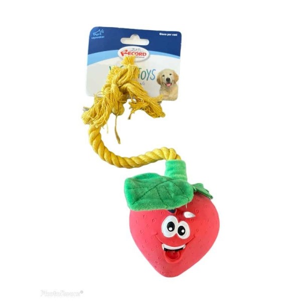 RECORD ΠΑΙΧΝΙΔΙ ΣΚΥΛΟΥ ΦΡΑΟΥΛΑ ΜΕ ΣΧΟΙΝΙ 42,5 CM Σκύλος