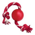 KONG BALL SM ΠΑΙΧΝΙΔΙ ΓΙΑ ΣΚΥΛΟΥΣ ΜΠΑΛΑ ΣΧΟΙΝΙ ΜΙΚΡΟ ΜΕΓΕΘΟΣ .. KONG BALL SM ΠΑΙΧΝΙΔΙ ΓΙΑ ΣΚΥΛΟΥΣ ΜΠΑΛΑ ΣΧΟΙΝΙ ΜΙΚΡΟ ΜΕΓΕΘΟΣ ..