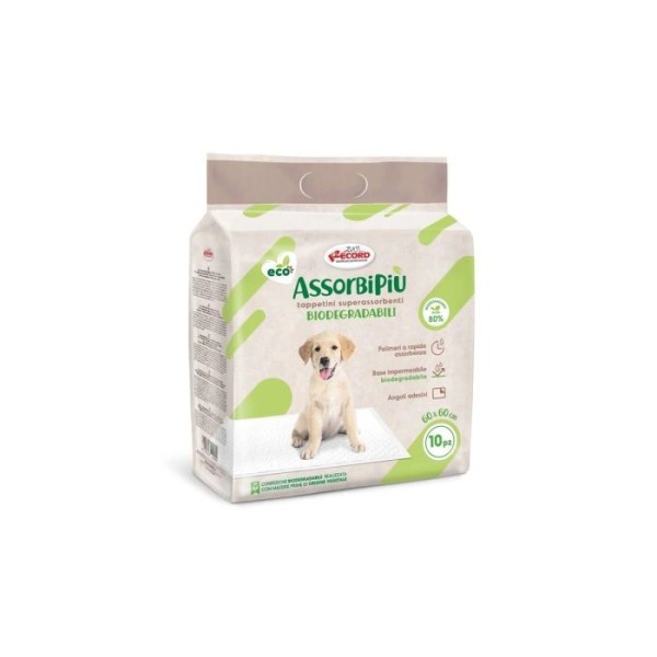 RECORD ΒΙΟΔΙΑΣΠΩΜΕΝΕΣ ΠΑΝΕΣ ΕΚΠΑΙΔΕΥΣΗΣ 60Χ60CM Σκύλος