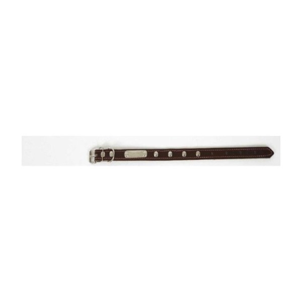 ΙΚΑΡΟΣ ΔΕΡΜΑΤΙΝΟ ΚΟΛΑΡΟ Μ15145 20MMX45CM ΙΚΑΡΟΣ ΔΕΡΜΑΤΙΝΟ ΚΟΛΑΡΟ Μ15145 20MMX45CM