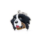 ΤΑΥΤΟΤΗΤΑ FRIENDS BERNESE ΤΑΥΤΟΤΗΤΑ FRIENDS BERNESE