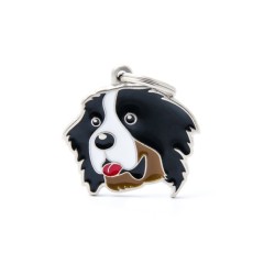 ΤΑΥΤΟΤΗΤΑ FRIENDS BERNESE
