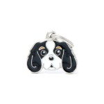 ΤΑΥΤΟΤΗΤΑ FRIENDS CAVALIER KING COLORED3 ΤΑΥΤΟΤΗΤΑ FRIENDS CAVALIER KING COLORED3
