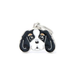 ΤΑΥΤΟΤΗΤΑ FRIENDS CAVALIER KING COLORED3 Σκύλος