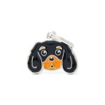 ΤΑΥΤΟΤΗΤΑ FRIENDS CAVALIER KING TAN ΤΑΥΤΟΤΗΤΑ FRIENDS CAVALIER KING TAN