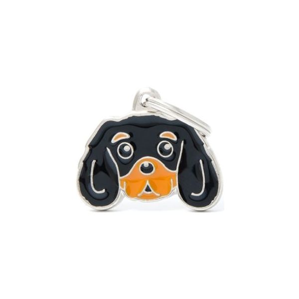 ΤΑΥΤΟΤΗΤΑ FRIENDS CAVALIER KING TAN Σκύλος ΤΑΥΤΟΤΗΤΑ FRIENDS CAVALIER KING TAN Σκύλος