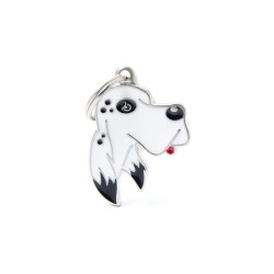 ΤΑΥΤΟΤΗΤΑ FRIENDS ENGLISH SETTER .. ΤΑΥΤΟΤΗΤΑ FRIENDS ENGLISH SETTER ..