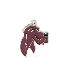 ΤΑΥΤΟΤΗΤΑ FRIENDS IRISH SETTER ΤΑΥΤΟΤΗΤΑ FRIENDS IRISH SETTER