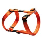 ROGZ ΣΑΜΑΡΑΚΙ ΣΚΥΛΟΥ XL EVEREST ORANGE ROGZ ΣΑΜΑΡΑΚΙ ΣΚΥΛΟΥ XL EVEREST ORANGE