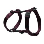 ROGZ ΣΑΜΑΡΑΚΙ ΣΚΥΛΟΥ XL EVEREST PURPLE ROGZ ΣΑΜΑΡΑΚΙ ΣΚΥΛΟΥ XL EVEREST PURPLE