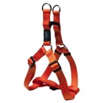 ROGZ ΣΑΜΑΡΑΚΙ STEP IN SM NITELIFE ORANGE ROGZ ΣΑΜΑΡΑΚΙ STEP IN SM NITELIFE ORANGE