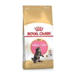 ROYAL CANIN MAINE COON KITTEN 2KG ROYAL CANIN MAINE COON KITTEN 2KG