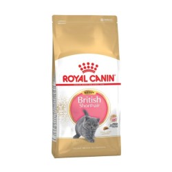 ROYAL CANIN KITTEN BRITISH SHORTHAIR 2KG ROYAL CANIN KITTEN BRITISH SHORTHAIR 2KG