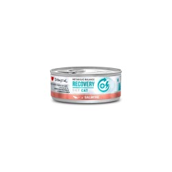 DISUGUAL METABOLIC BALANCE CAT RECOVERY ΣΟΛΟΜΟ 85GR