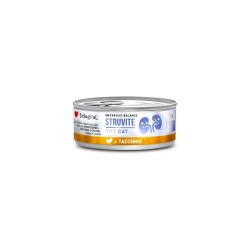 DISUGUAL METABOLIC BALANCE CAT STRUVITE ΓΑΛΟΠΟΥΛΑ 85GR