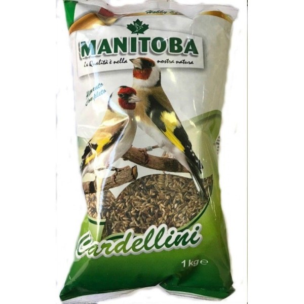 MANITOBA CARDELLINO 1KG MANITOBA CARDELLINO 1KG
