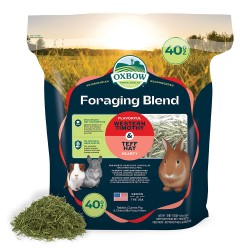 OXBOW Χόρτο Western Timothy Hay & foraging hay blend teff - 1,13Kg OXBOW Χόρτο Western Timothy Hay & foraging hay blend teff - 1,13Kg